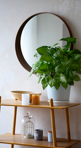 Espelhos sob medida em Curitiba com o melhor preço